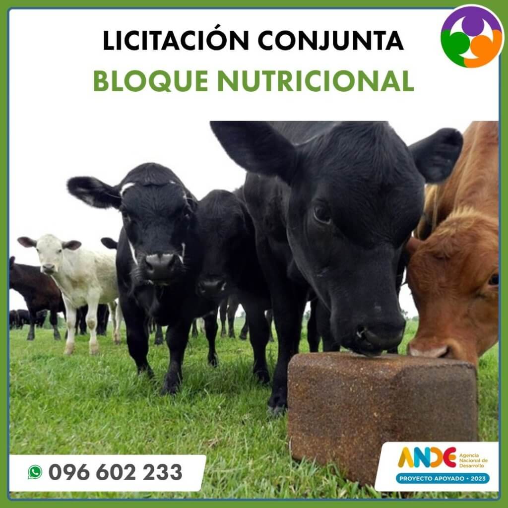 Bloques nutricionales y sales minerales · Nutrición animal