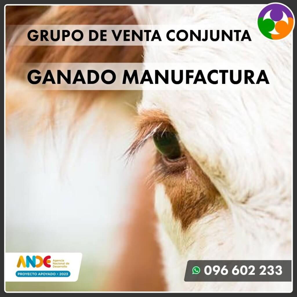 Venta conjunta de ganado manufactura · Venta conjunta