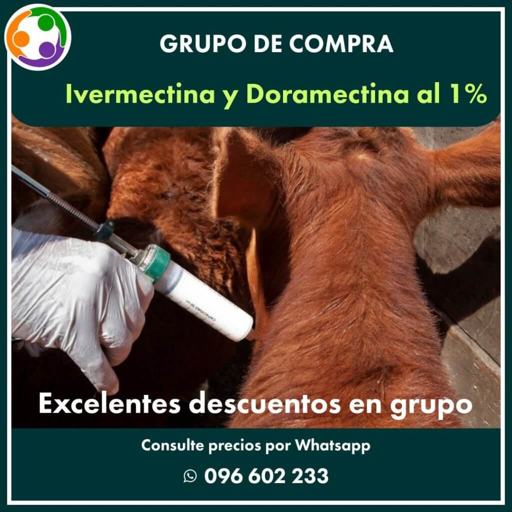 Ivermectina y doramectina · Sanidad animal