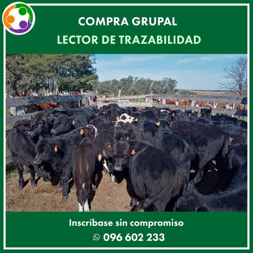 Lectores de trazabilidad · Manejo de ganado
