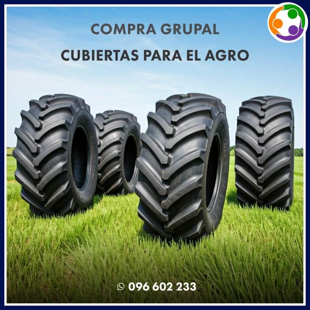 Neumáticos para tractor y camión · Neumáticos y baterías