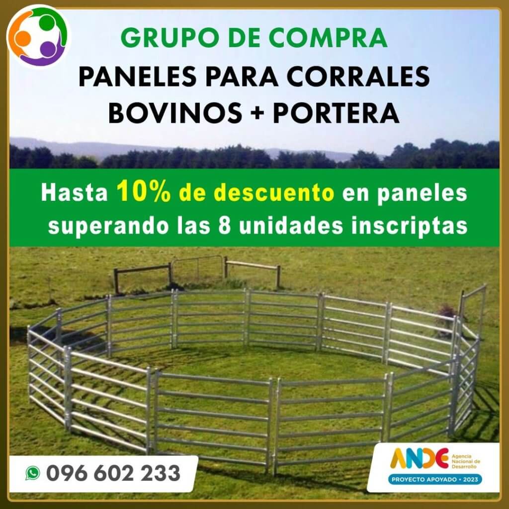 Paneles para corrales bovinos y porteras · Manejo de ganado