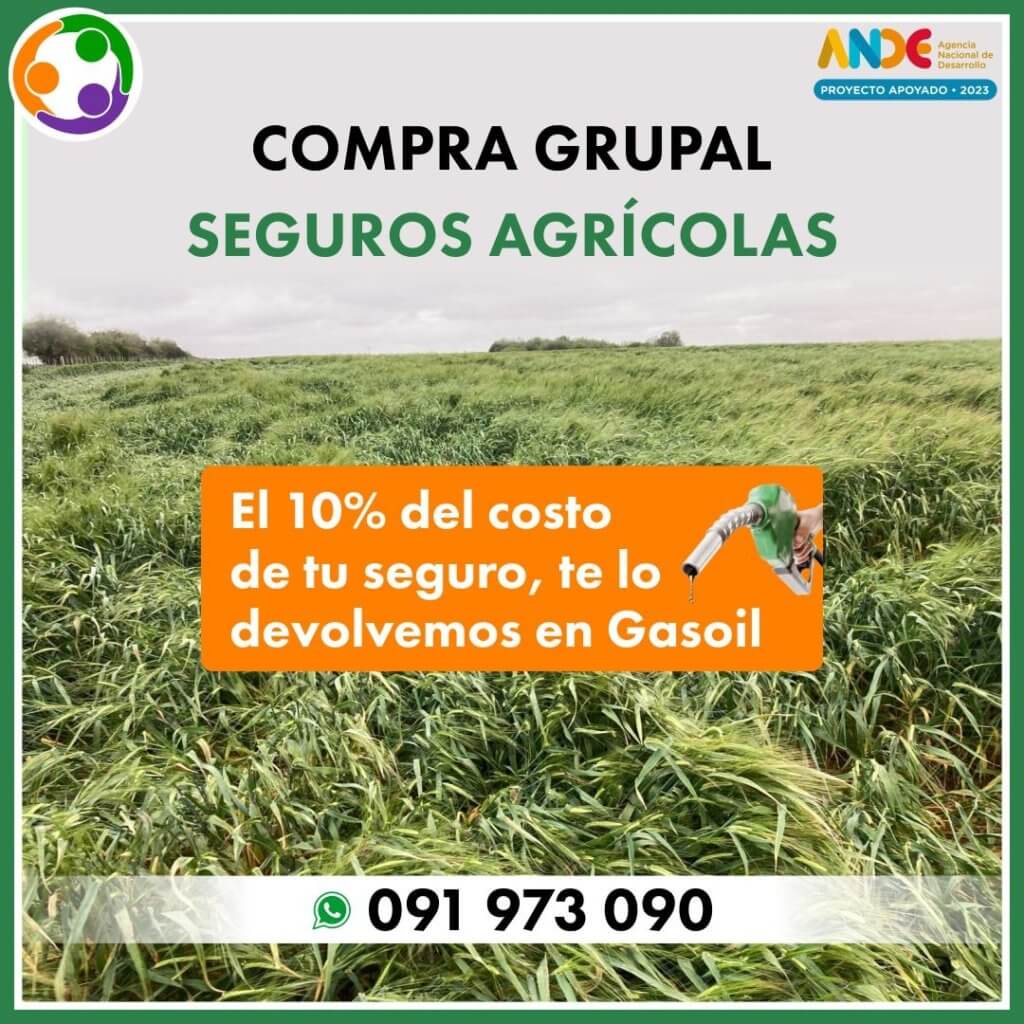 Seguro agrícola en conjunto · Servicios