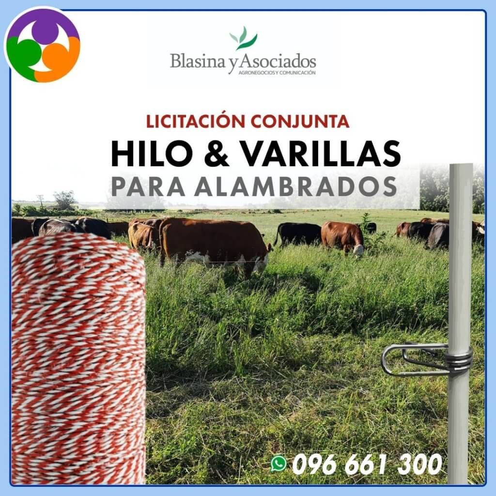 Varillas con clip e hilo eléctrico · Alambrados y cercos