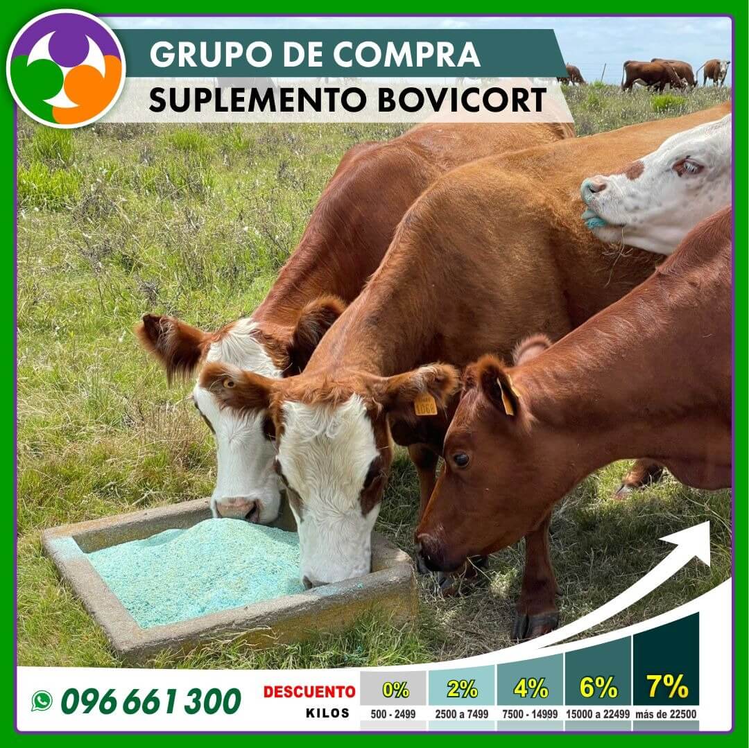 Suplementos Bovicort
