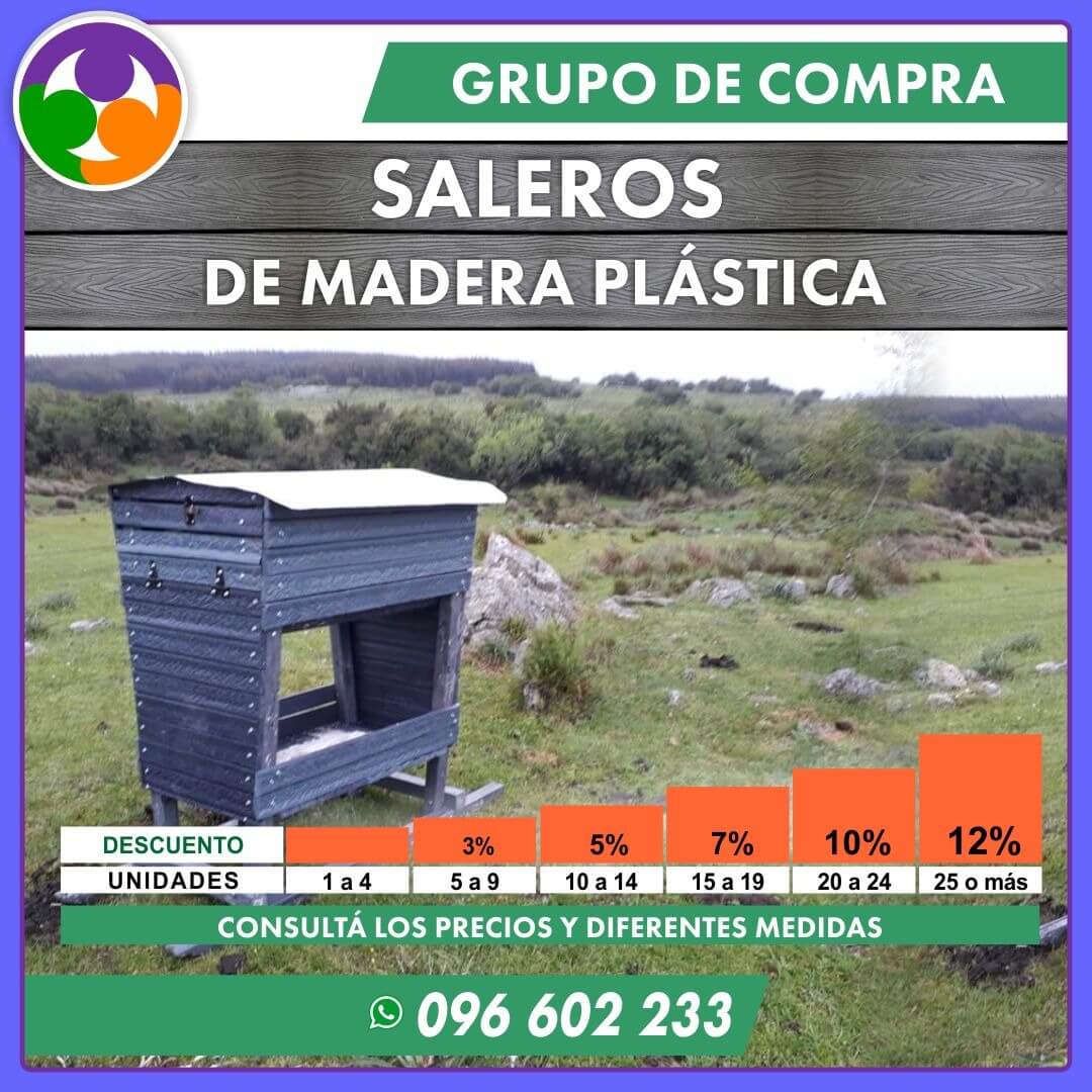 Saleros plásticos