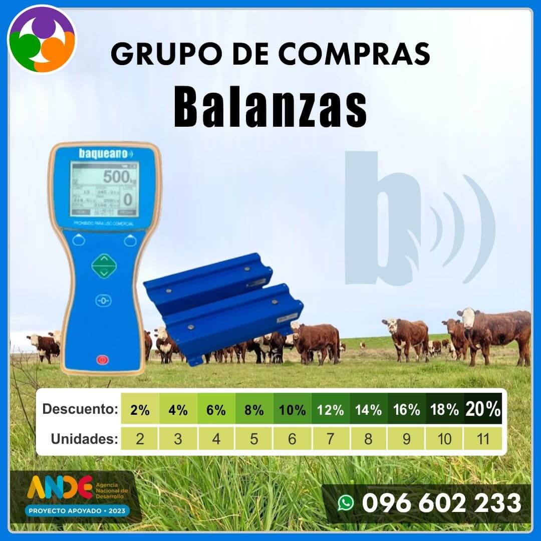 Balanzas ganado