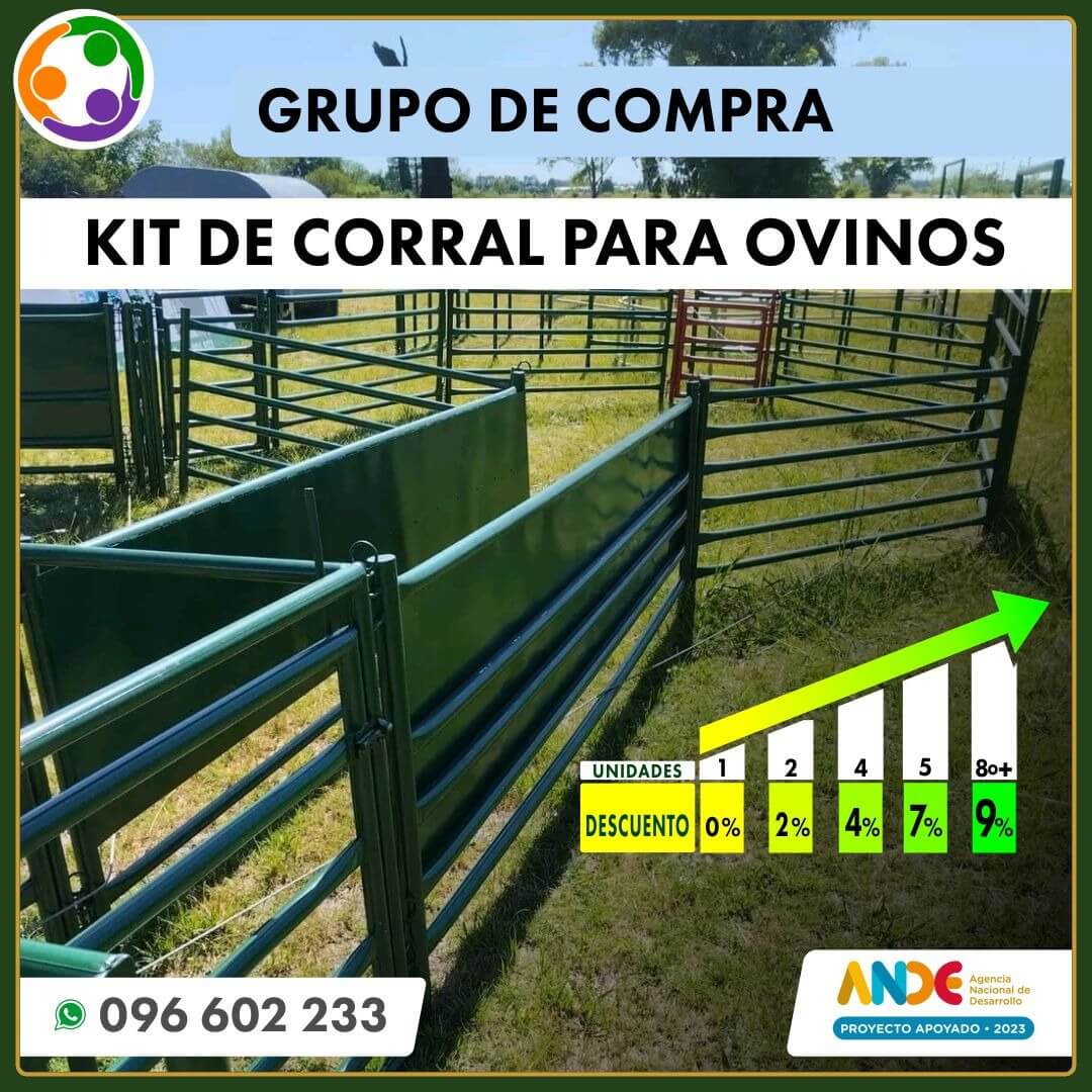 corral ovino